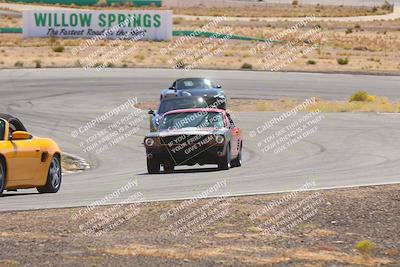 media/Oct-25-2025-West Coast Racing (Sat) [[9fdcbcd09c]]/Novice group/Turn 3/